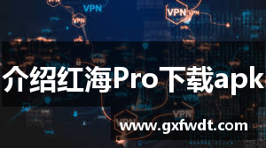 介绍红海Pro下载apk